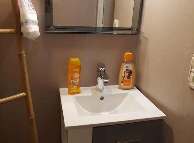 公寓 Notre Dame 戛纳